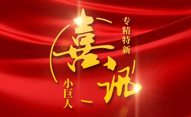 喜讯 | 捷报频传！南宫28NG相信品牌力量医疗获评国家级专精特新“小巨人”企业公示